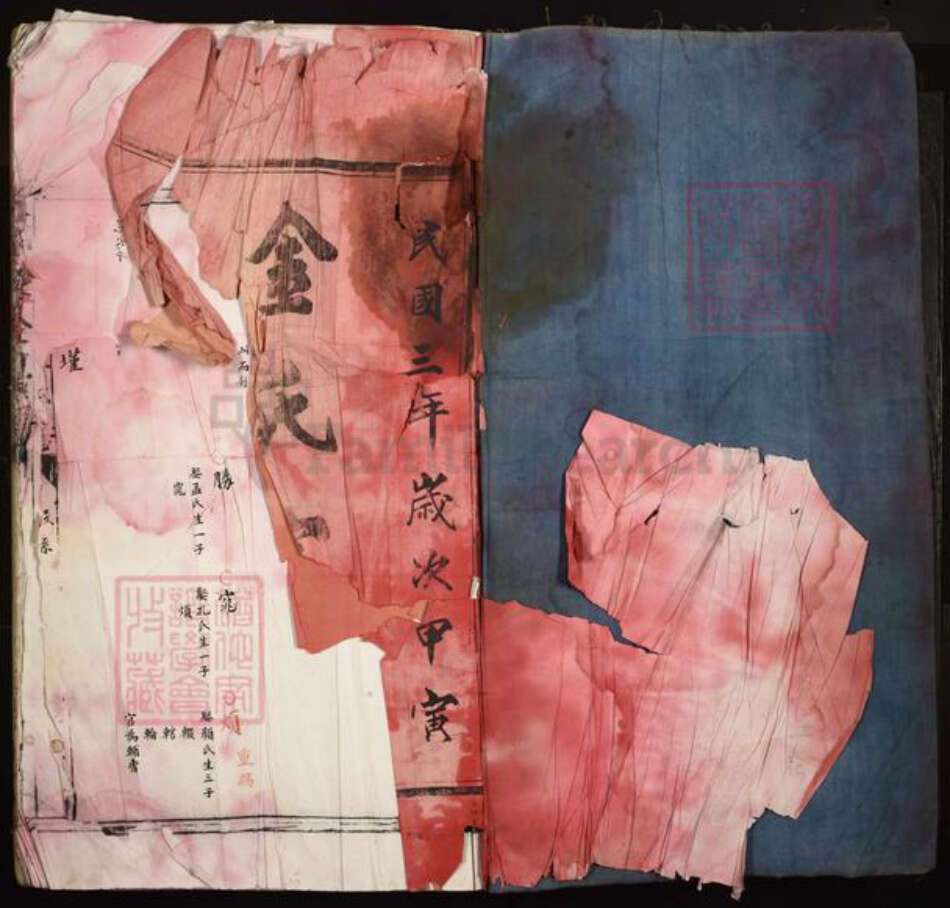 福建省宁德市周宁县荣县金氏族谱-江家洋金氏家族.pdf电子版预览图1