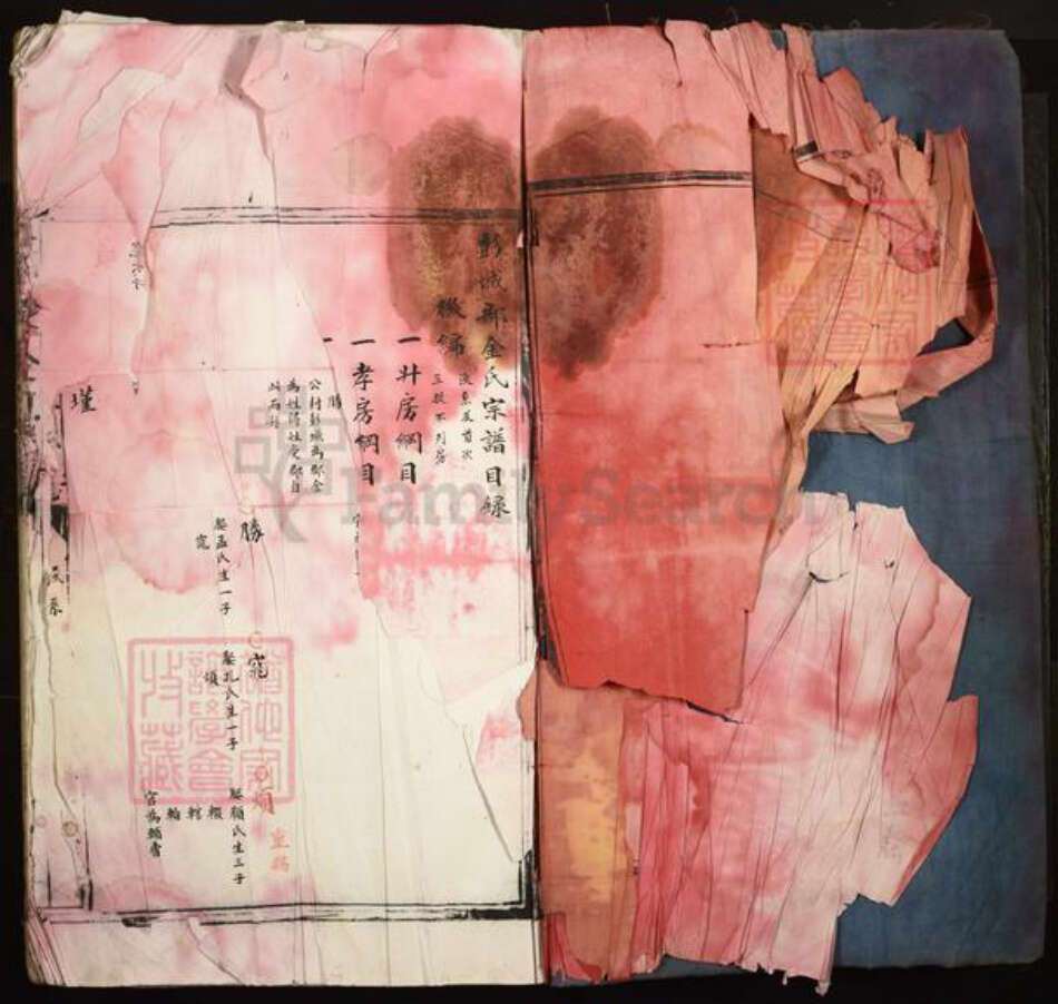 福建省宁德市周宁县荣县金氏族谱-江家洋金氏家族.pdf电子版预览图2