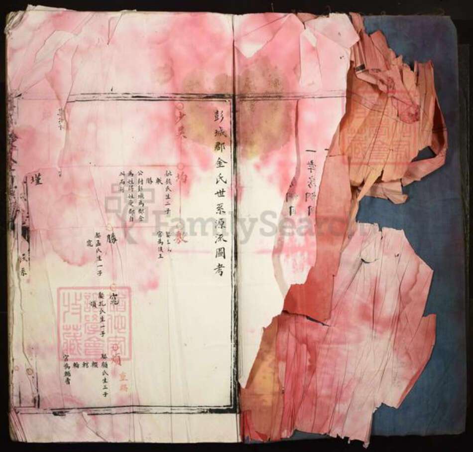 福建省宁德市周宁县荣县金氏族谱-江家洋金氏家族.pdf电子版预览图3