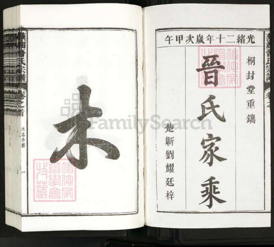 安徽省芜湖市晋氏族谱-芜湖晋氏宗谱[9卷首1卷].pdf电子版预览图1