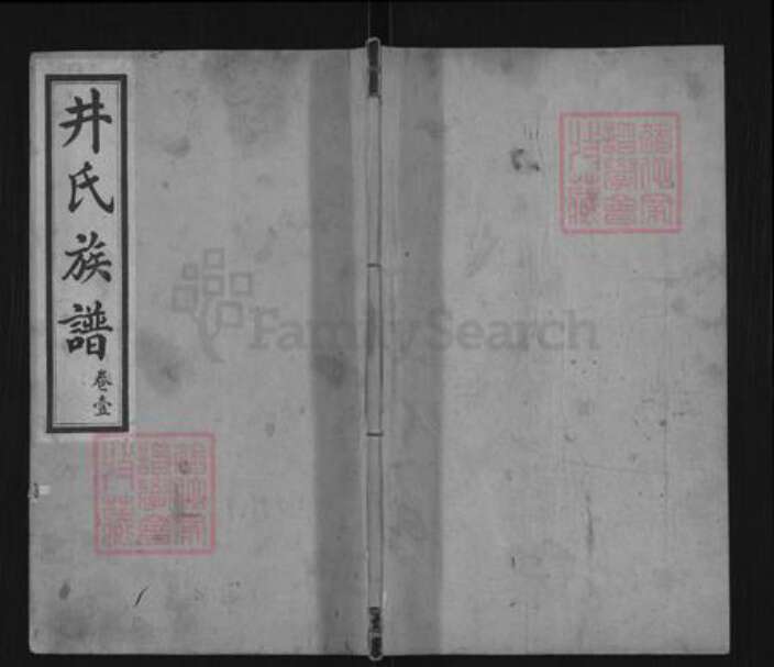 山东省泰安市东平县东平街道井氏族谱-井氏族谱.pdf电子版缩略图
