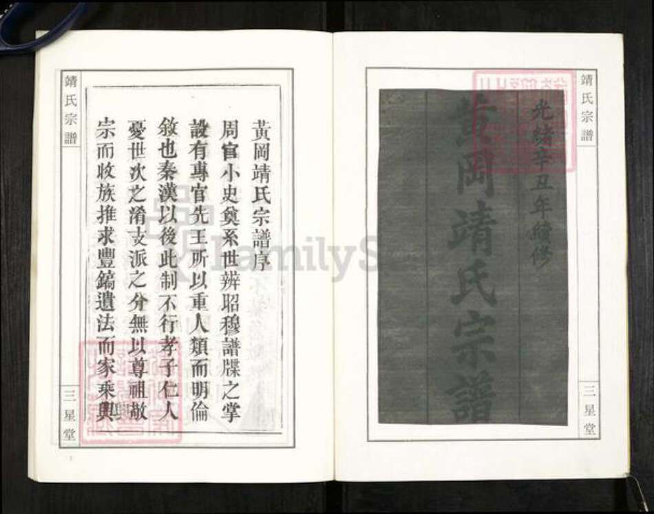 湖北省武汉市新洲区靖氏三星堂族谱-黄冈靖氏家谱.pdf电子版预览图2