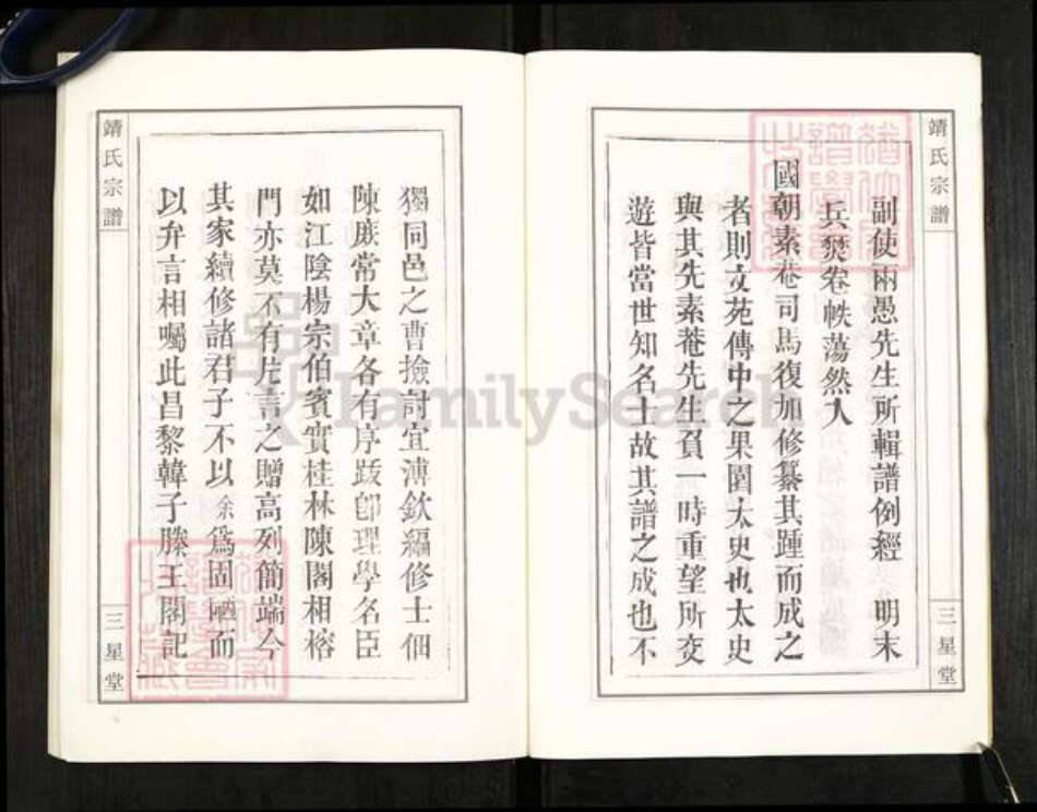 湖北省武汉市新洲区靖氏三星堂族谱-黄冈靖氏家谱.pdf电子版预览图5