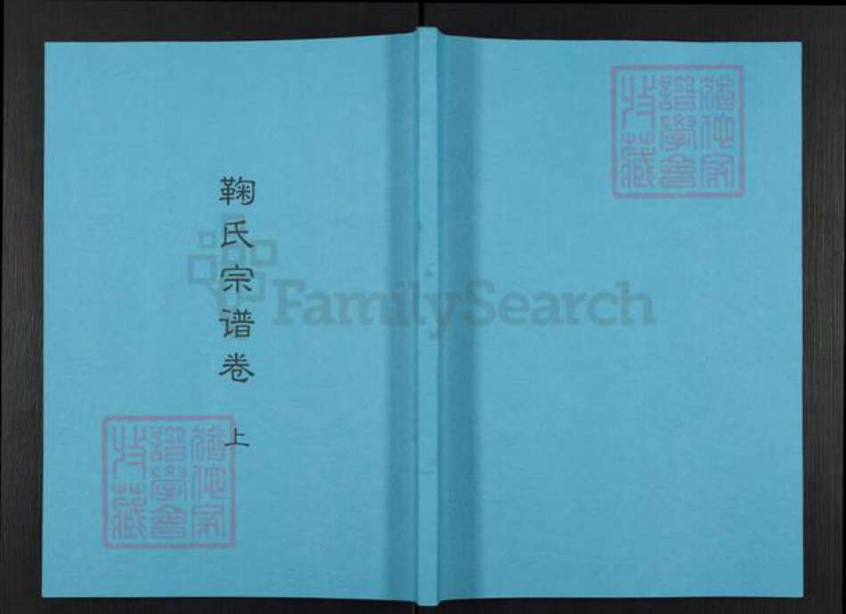 江西省南昌市进贤县鞠氏族谱-鞠氏宗谱.pdf电子版