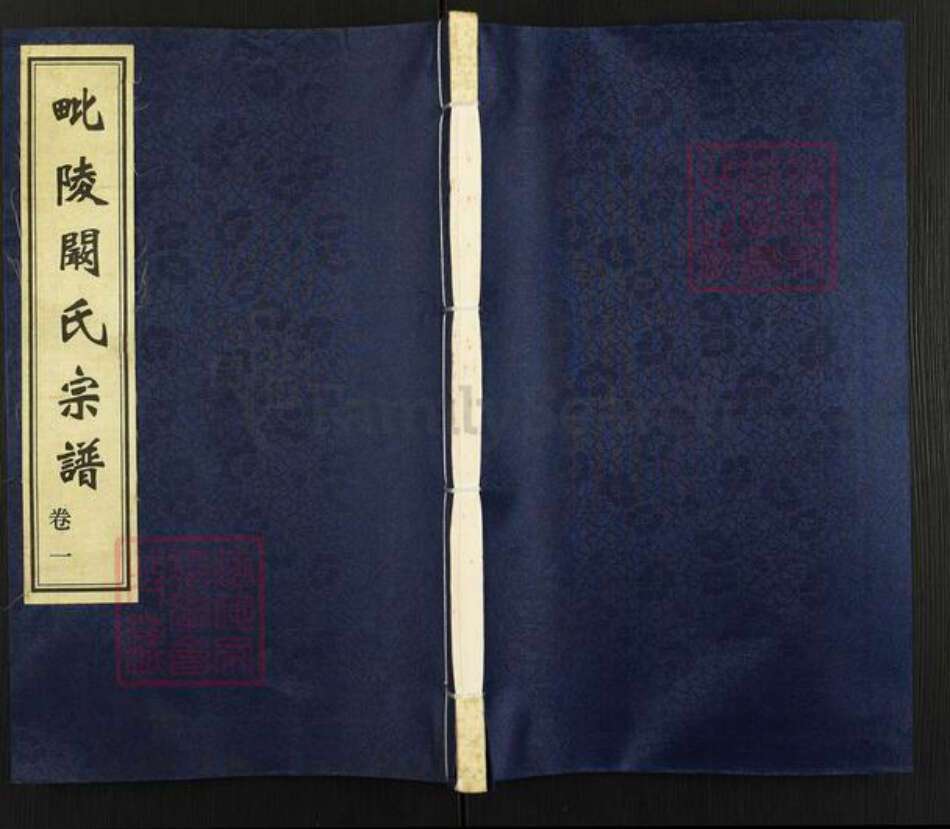 江苏省常州市天宁区郑陆镇阚氏积厚堂族谱-毗陵阚氏宗谱.pdf电子版缩略图