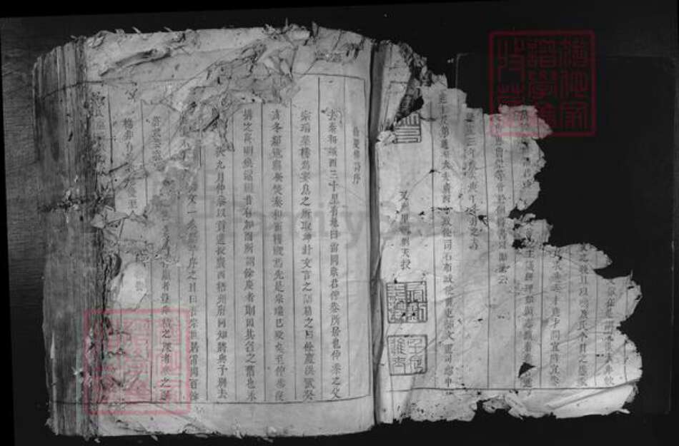 江西省吉安市泰和市苏溪镇康氏京兆堂族谱-康氏重修族谱.pdf电子版预览图2