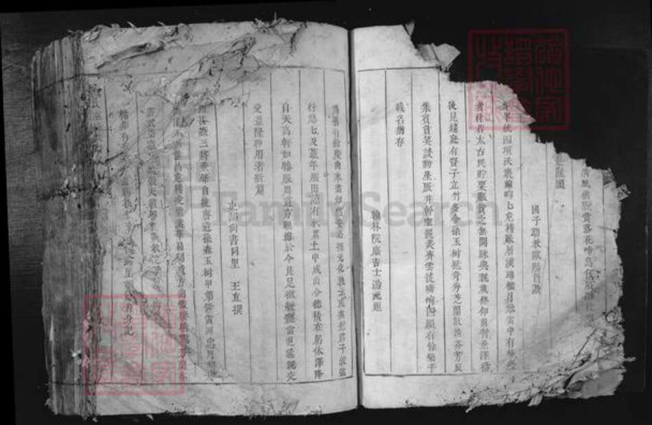 江西省吉安市泰和市苏溪镇康氏京兆堂族谱-康氏重修族谱.pdf电子版预览图4