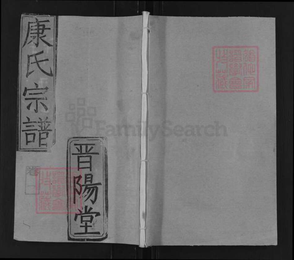 湖北省仙桃市康氏晋阳堂族谱-康氏宗谱.pdf电子版缩略图