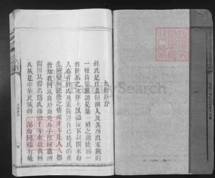 江西省赣州市柯氏族谱-宁都柯氏九修族谱.pdf电子版预览图2