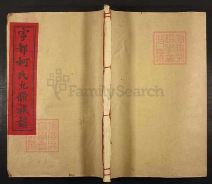 江西省赣州市宁都县柯氏族谱-宁都柯氏九修族谱.pdf电子版缩略图