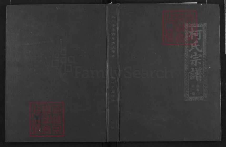 江西省九江市瑞昌市乐园乡柯氏瑞鹊堂族谱-柯氏宗谱.pdf电子版缩略图