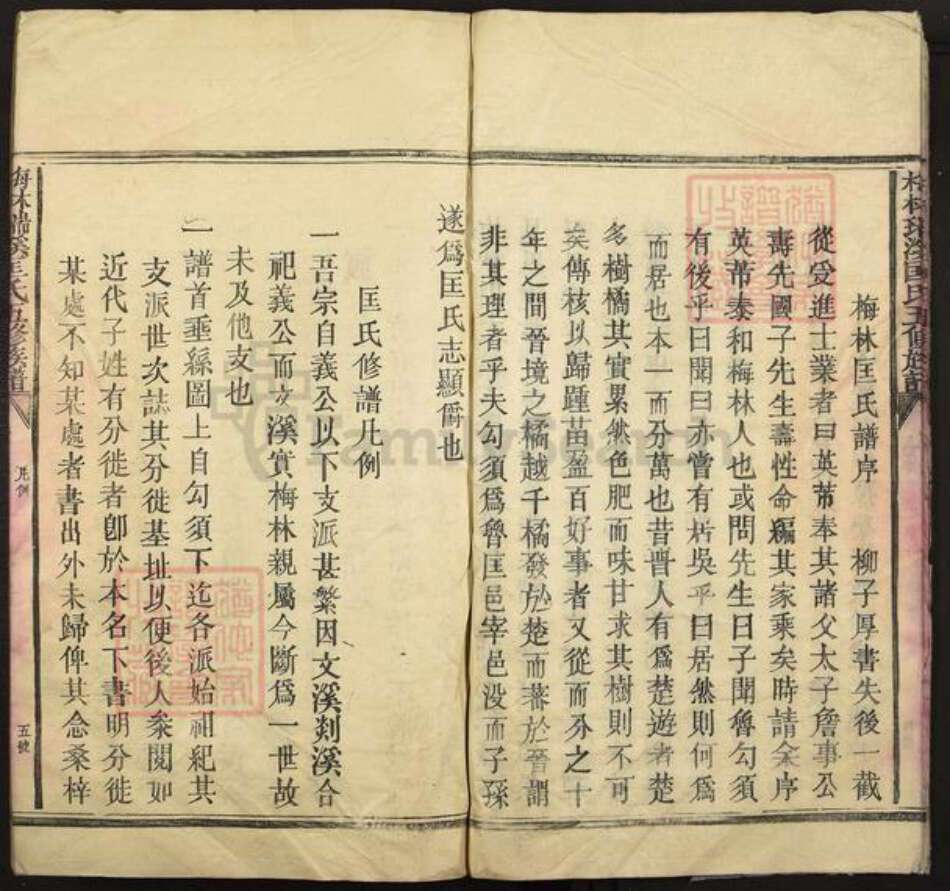 江西省吉安市泰和市塘洲镇匡氏族谱-梅林瑞溪匡氏五修族谱.pdf电子版预览图5