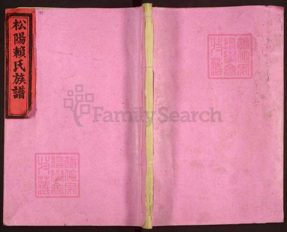 江西省赣州市于都县葛坳乡赖氏族谱-松阳赖氏族谱.pdf电子版缩略图