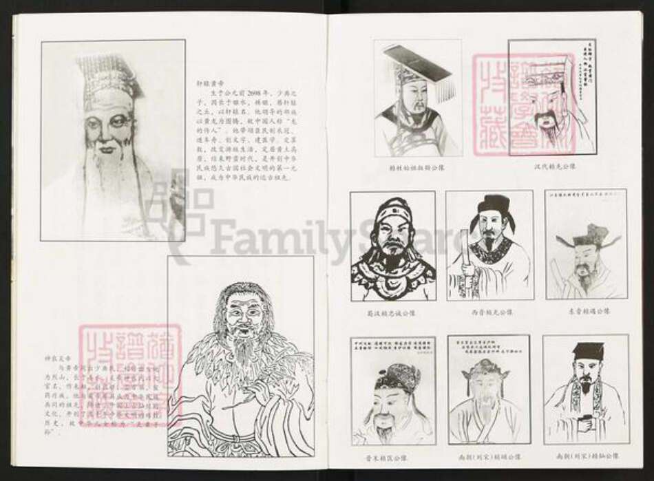 江西省赣州市宁都县肖田乡赖氏族谱-宁都赖氏.pdf电子版预览图5