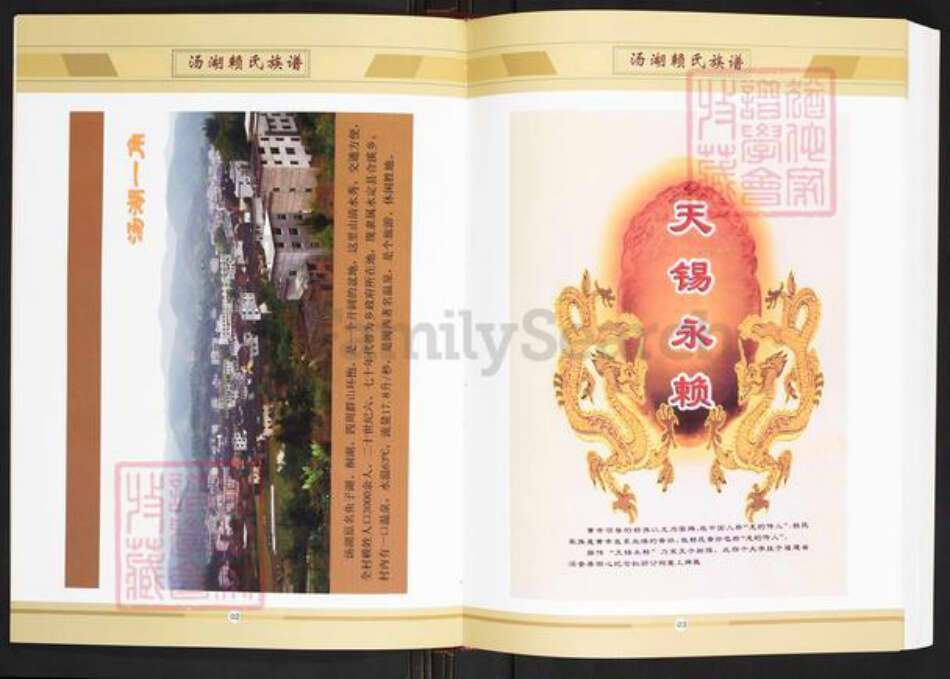 福建省龙岩市永定区合溪乡赖氏族谱-福建省永定县汤湖赖氏族谱.pdf电子版预览图5