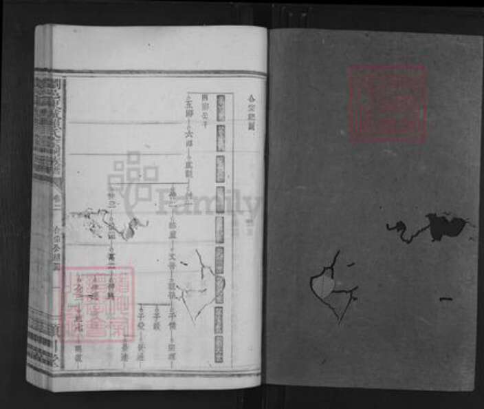 广东省揭阳市揭东区桂岭镇赖氏颕川堂族谱-刘邑东城赖氏宗祠族谱.pdf电子版预览图1