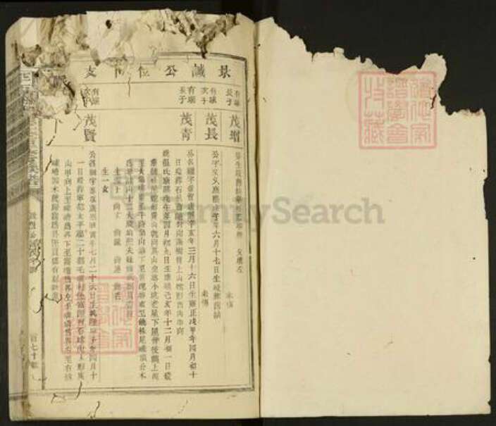 江西省抚州市广昌县驿前镇赖氏族谱-平西梅驿赖氏重修族谱.pdf电子版预览图1