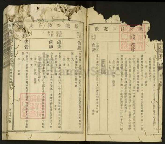 江西省抚州市广昌县驿前镇赖氏族谱-平西梅驿赖氏重修族谱.pdf电子版预览图2