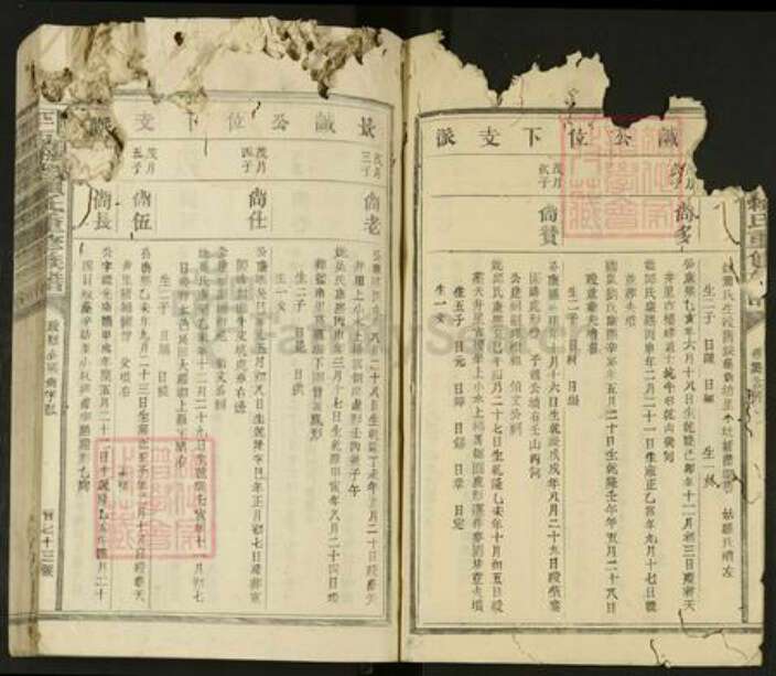 江西省抚州市广昌县驿前镇赖氏族谱-平西梅驿赖氏重修族谱.pdf电子版预览图4