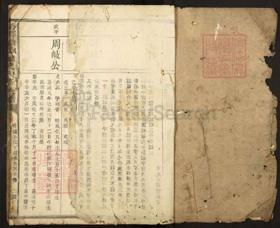 江西省抚州市广昌县赖氏族谱-梅驿塘背赖氏八修族谱.pdf电子版预览图1