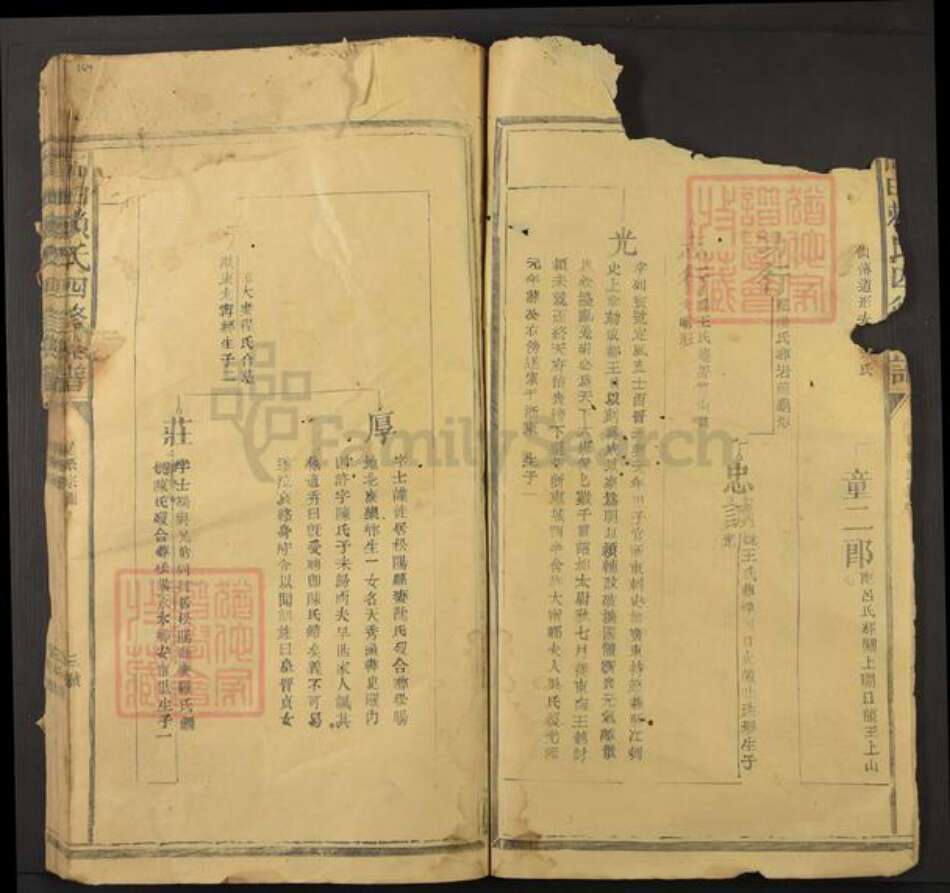 江西省抚州市资溪县高田乡赖氏族谱-高田赖氏四修族谱.pdf电子版预览图3