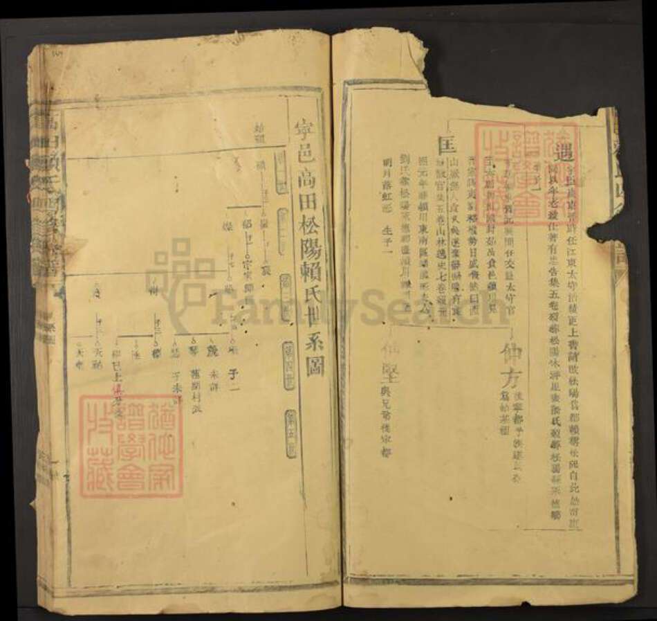 江西省抚州市资溪县高田乡赖氏族谱-高田赖氏四修族谱.pdf电子版预览图4