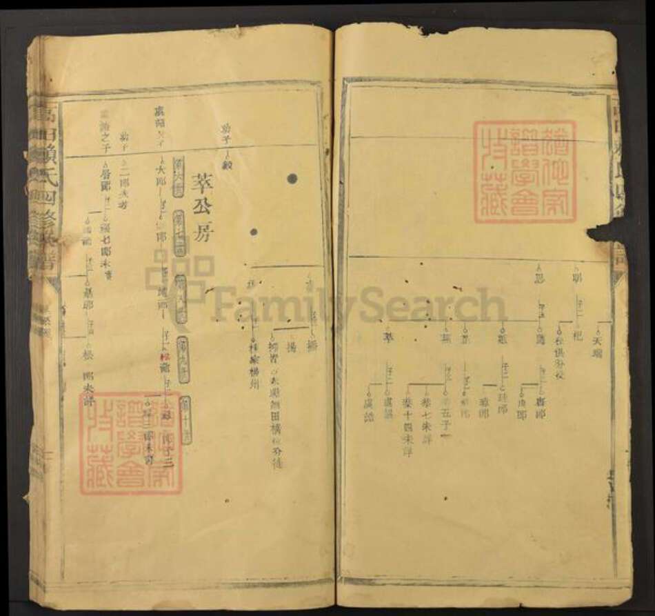 江西省抚州市资溪县高田乡赖氏族谱-高田赖氏四修族谱.pdf电子版预览图5