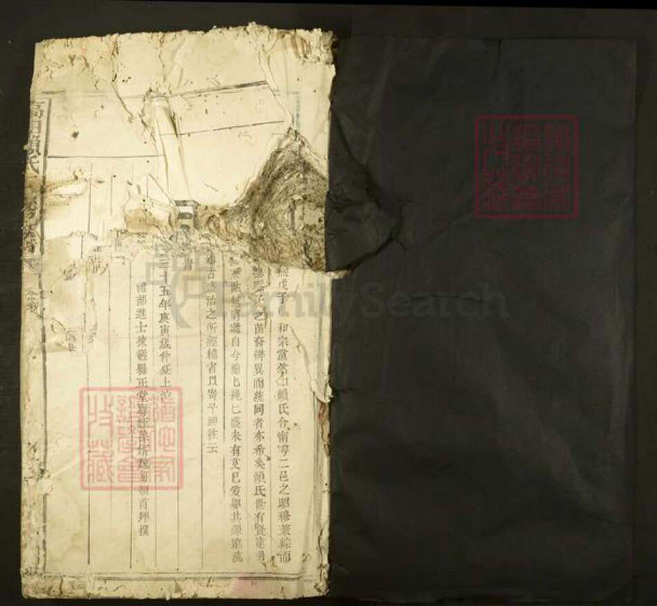 江西省赣州市石城县高田镇赖氏族谱-高田赖氏三修族谱.pdf电子版预览图1