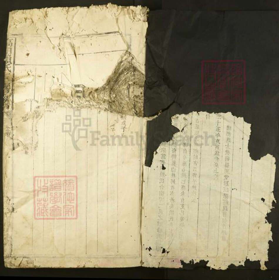 江西省赣州市石城县高田镇赖氏族谱-高田赖氏三修族谱.pdf电子版预览图2