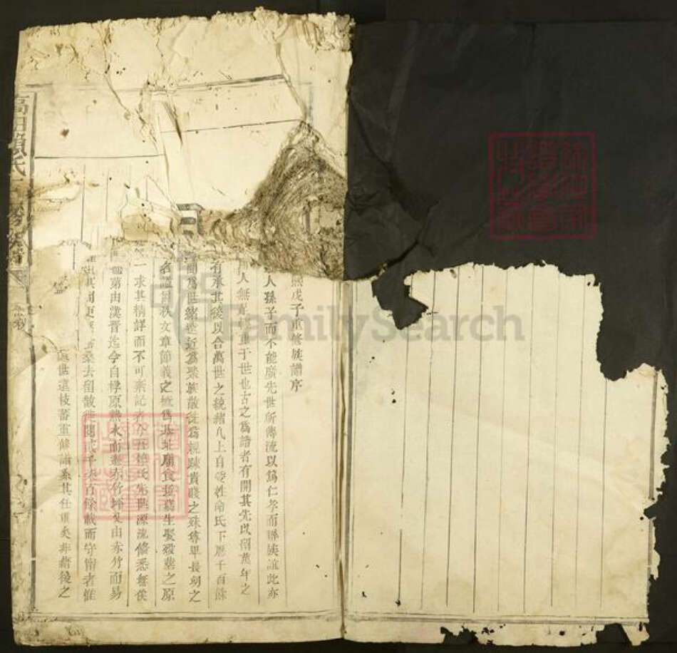 江西省赣州市石城县高田镇赖氏族谱-高田赖氏三修族谱.pdf电子版预览图3