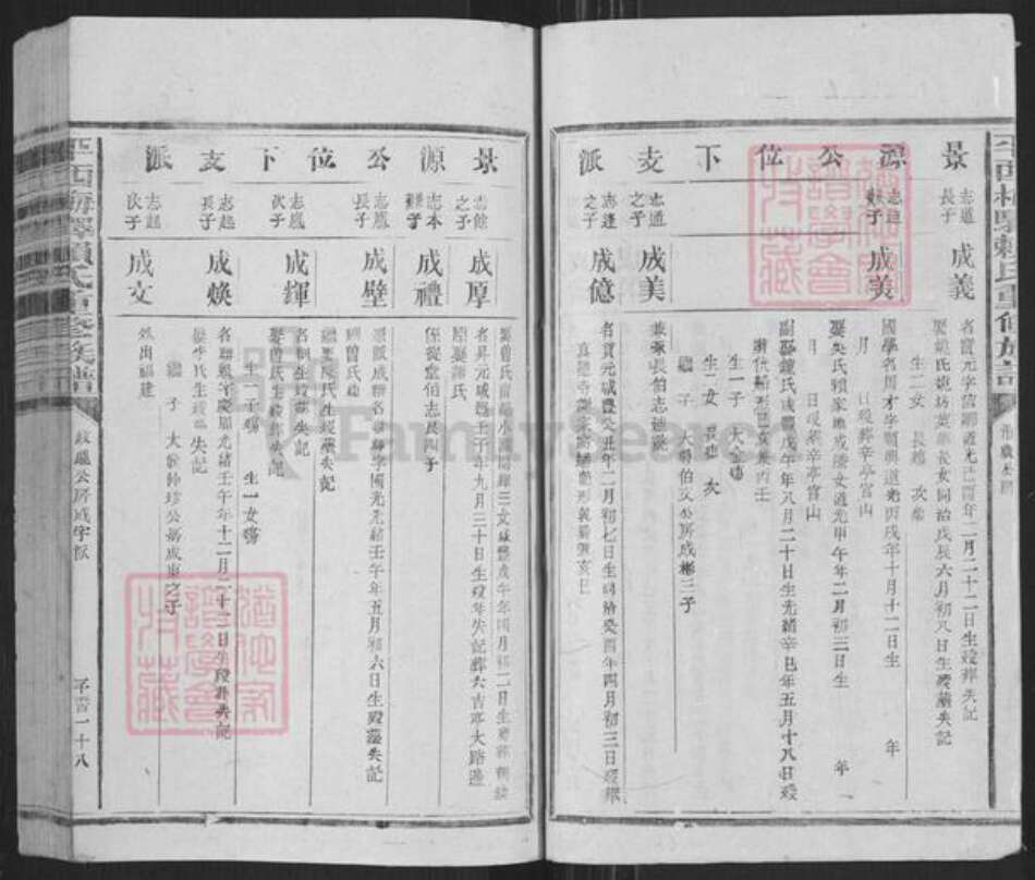 江西省抚州市广昌县驿前镇赖氏族谱-平西梅驿赖氏重修族谱.pdf电子版预览图2