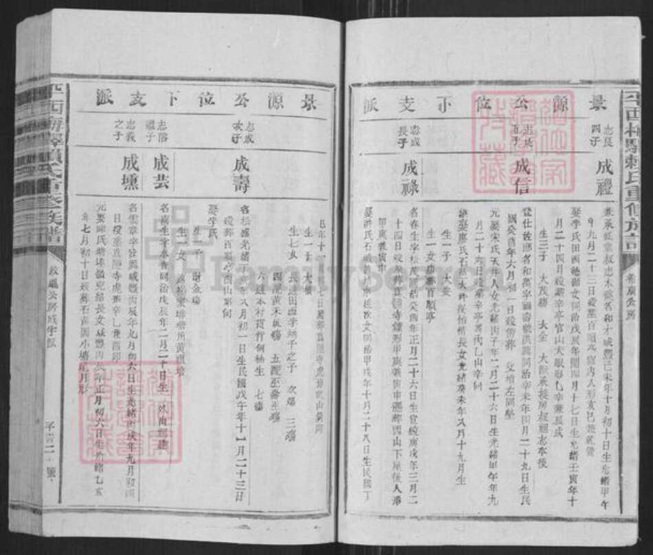 江西省抚州市广昌县驿前镇赖氏族谱-平西梅驿赖氏重修族谱.pdf电子版预览图4