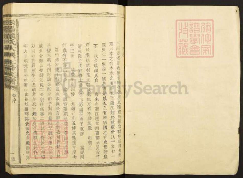 江西省赣州市宁都县赖氏族谱-松阳赖氏大兴七修族谱.pdf电子版预览图1