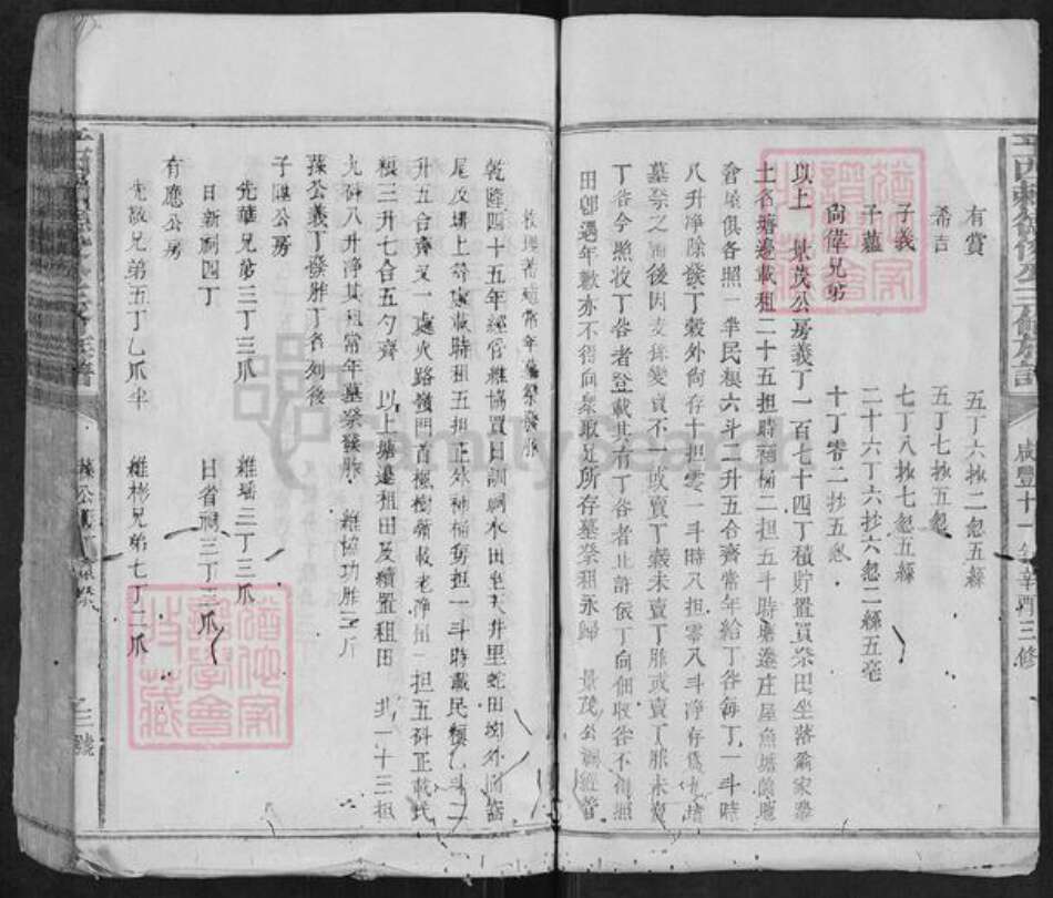 江西省抚州市广昌县驿前镇赖氏族谱-平西赖德俊公三修族谱.pdf电子版预览图3