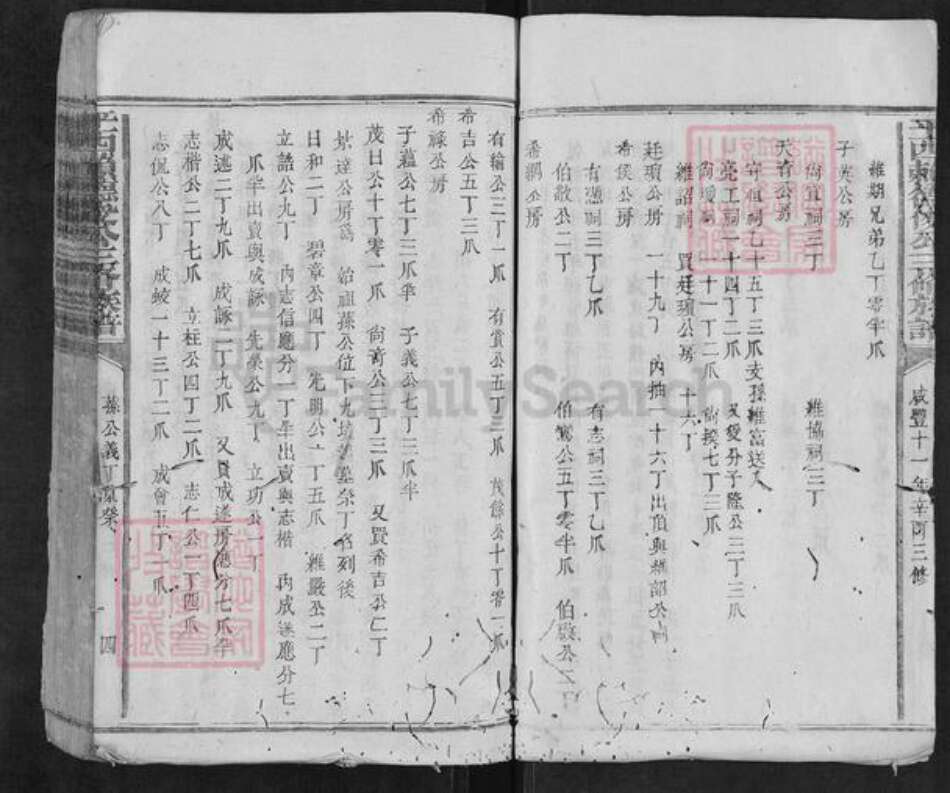 江西省抚州市广昌县驿前镇赖氏族谱-平西赖德俊公三修族谱.pdf电子版预览图4