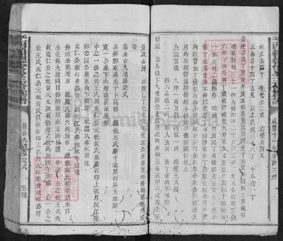 江西省抚州市广昌县驿前镇赖氏族谱-平西赖德俊公三修族谱.pdf电子版预览图5