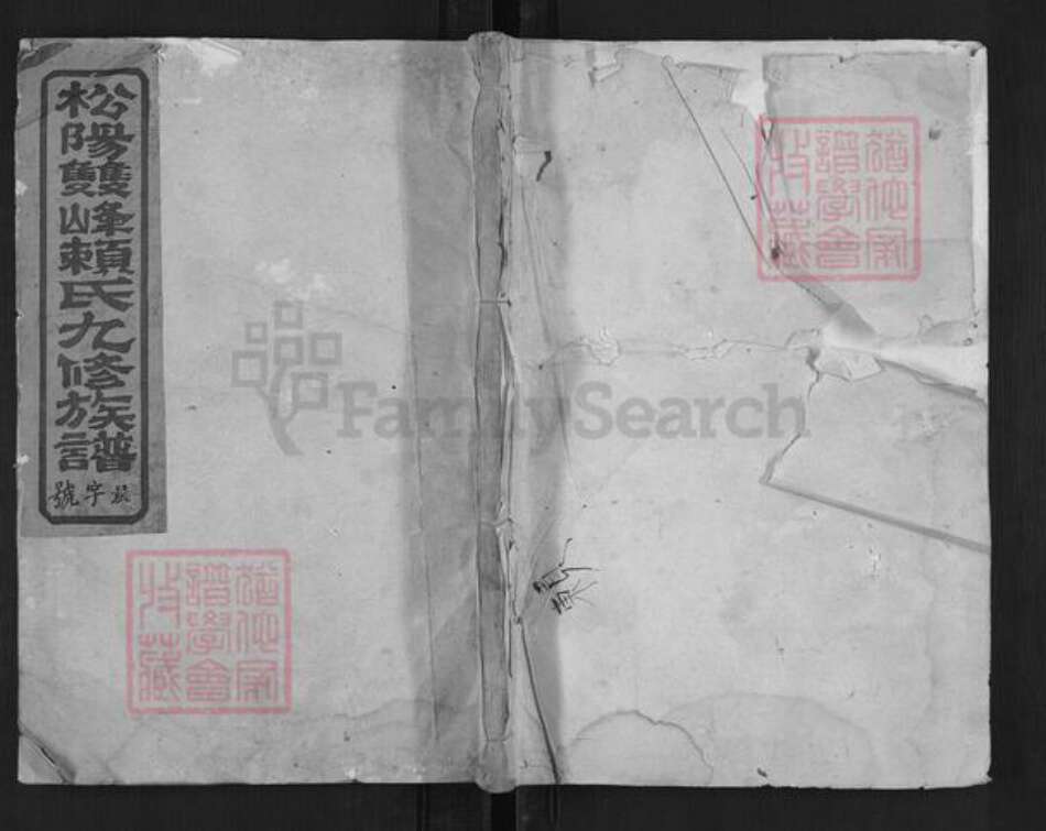 浙江省丽水市松阳县赖氏族谱-松阳双峰赖氏九修族谱.pdf电子版缩略图