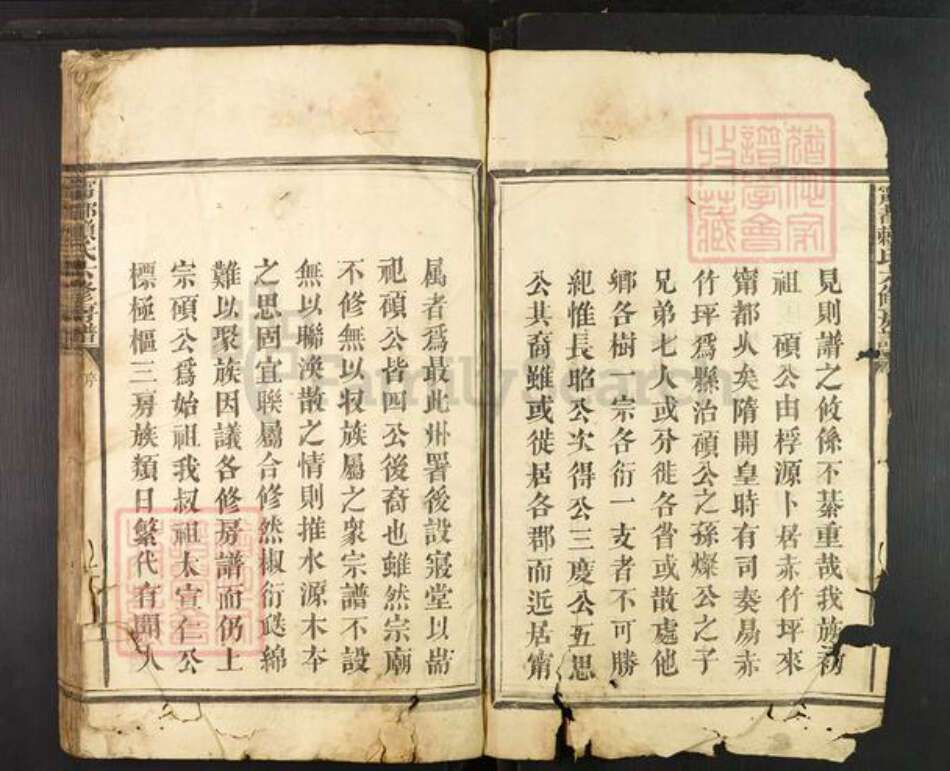 江西省赣州市宁都县梅江镇赖氏族谱-宁都赖氏六修房谱.pdf电子版预览图2