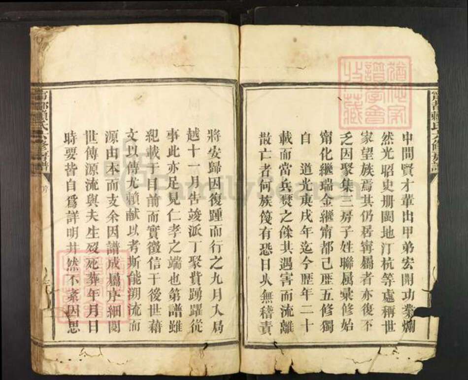 江西省赣州市宁都县梅江镇赖氏族谱-宁都赖氏六修房谱.pdf电子版预览图3