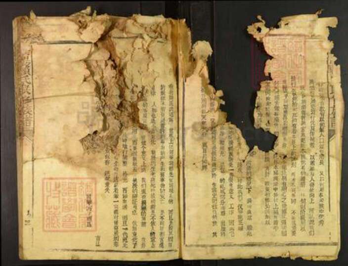 江西省赣州市宁都县梅江镇赖氏族谱-松阳赖氏联修族谱.pdf电子版预览图2