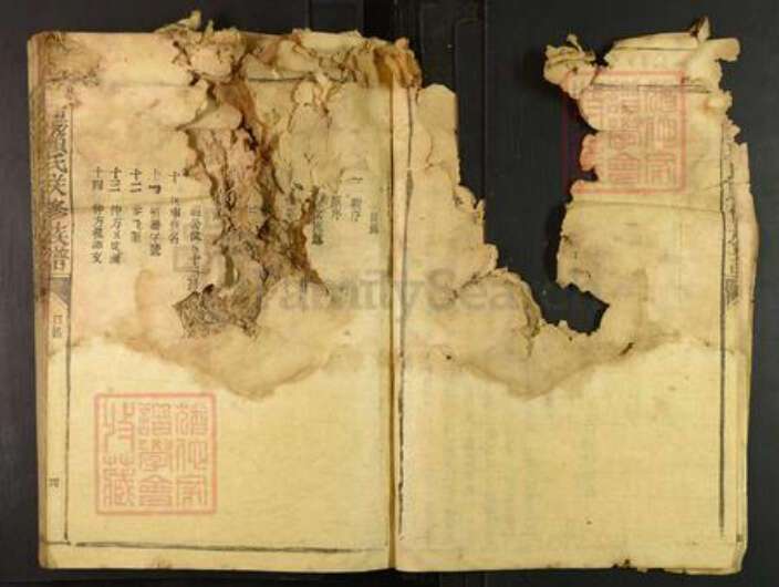 江西省赣州市宁都县梅江镇赖氏族谱-松阳赖氏联修族谱.pdf电子版预览图3