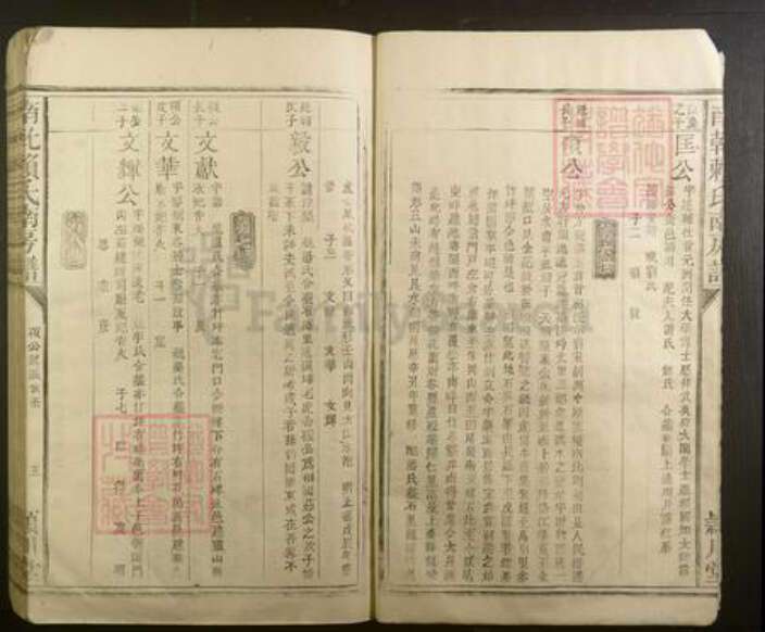 江西省赖氏族谱-南干赖氏南房谱[不分卷].pdf电子版预览图5