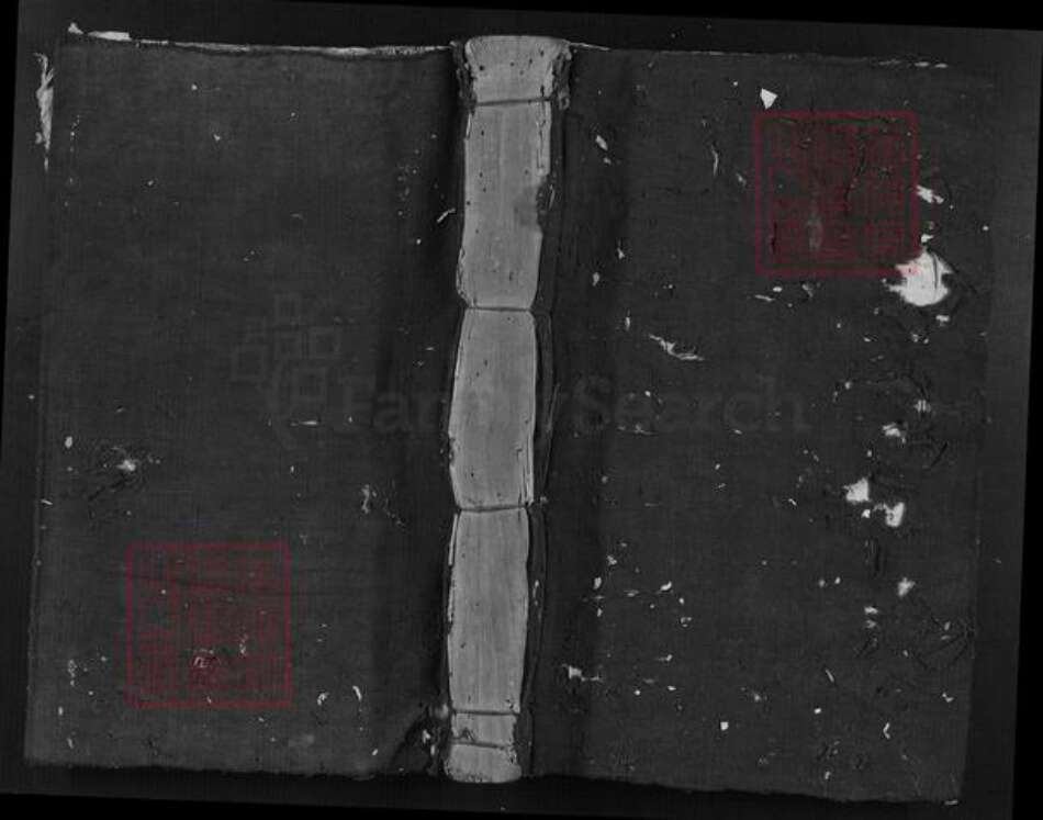 江西省赖氏族谱-南干赖氏南房谱[不分卷].pdf电子版缩略图