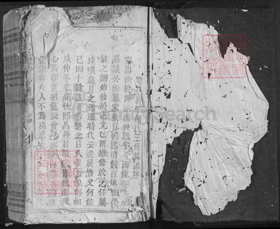 江西省赖氏族谱-南干赖氏南房谱[不分卷].pdf电子版预览图1