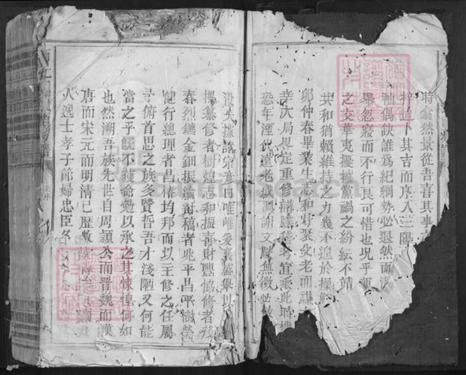 江西省赖氏族谱-南干赖氏南房谱[不分卷].pdf电子版预览图2