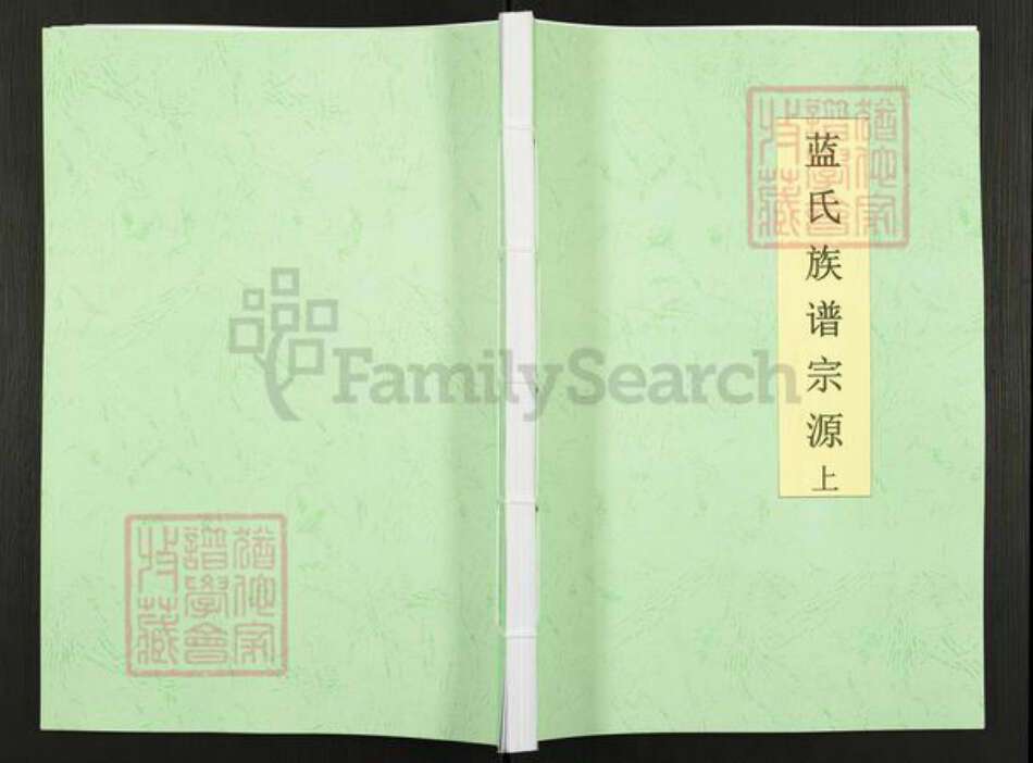 四川省绵阳市三台县古井镇蓝氏族谱-蓝氏族谱宗源.pdf电子版缩略图