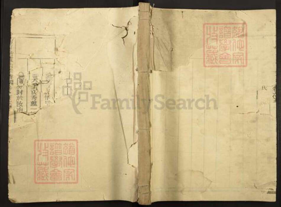 福建省蓝氏种玉堂族谱-汝南君邑蓝氏宗谱.pdf电子版缩略图