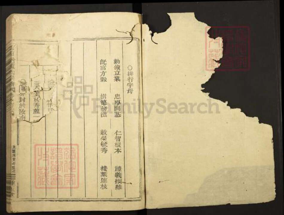 福建省蓝氏种玉堂族谱-汝南君邑蓝氏宗谱.pdf电子版预览图1