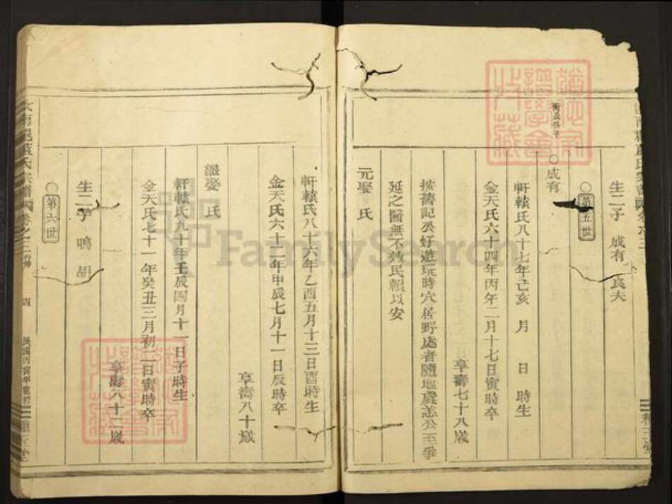 福建省蓝氏种玉堂族谱-汝南君邑蓝氏宗谱.pdf电子版预览图5