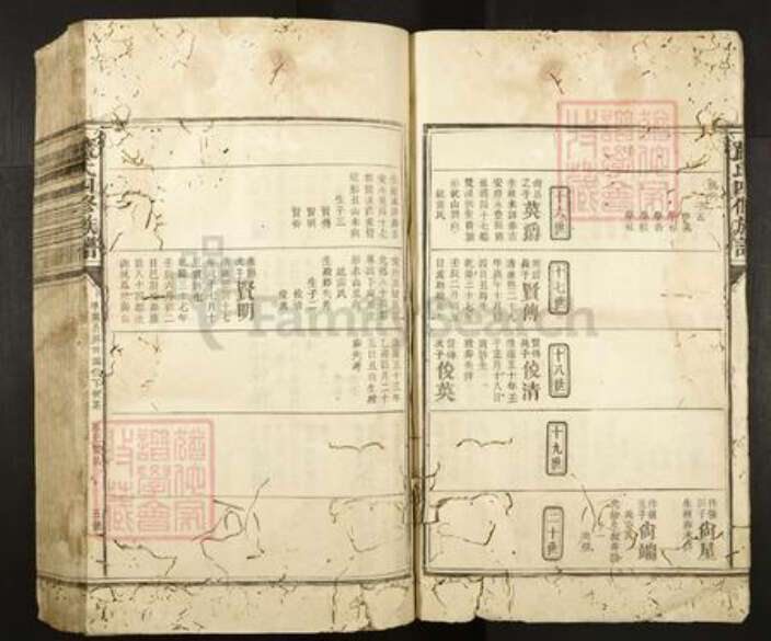 福建省龙岩市长汀县濯田镇蓝氏族谱-蓝氏四修族谱.pdf电子版预览图5